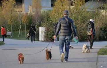 featured 2975373 364x230