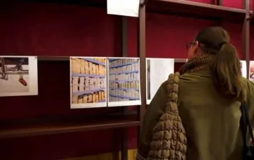 featured 2976129 364x230