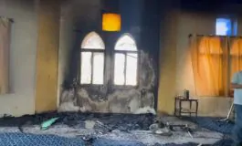 featured 2976425 265x160