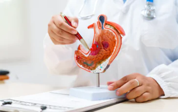 featured 2978134 364x230