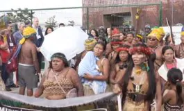 featured 2978474 265x160