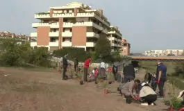 featured 2982174 265x160