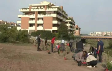 featured 2982174 364x230