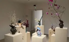 featured 2991702 265x160