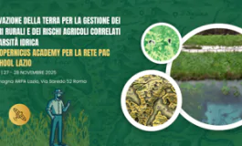 featured 2999171 265x160