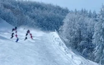 featured 3005191 364x230