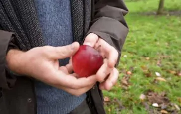 featured 3006336 364x230