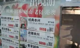 featured 3006693 265x160