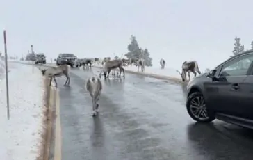 featured 3007313 364x230