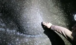 featured 3011431 265x160