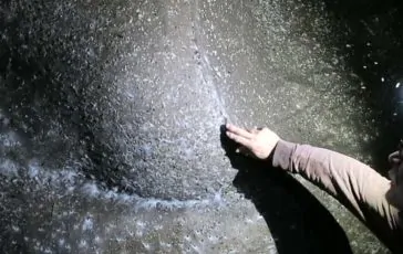 featured 3011431 364x230