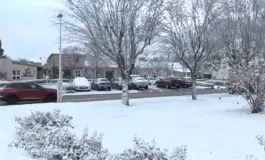 featured 3011780 265x160