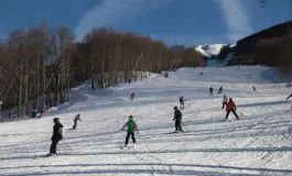 featured 3019357 265x160