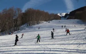 featured 3019357 364x230