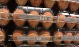 featured 3021487 265x160