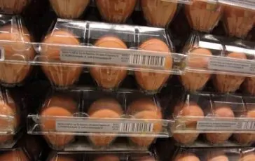 featured 3021487 364x230