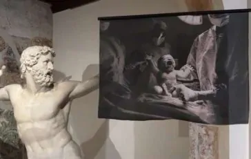 featured 3040239 364x230