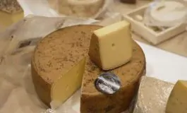 featured 3042327 265x160