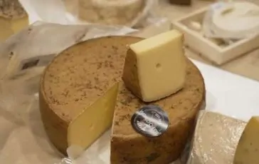 featured 3042327 364x230