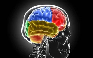 featured 3043960 364x230