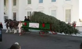 featured 3044497 265x160