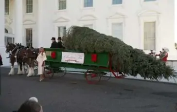 featured 3044497 364x230