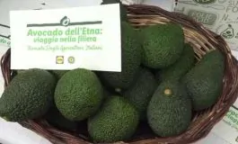 featured 3048786 265x160