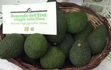 featured 3048786 364x230