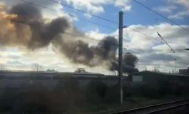 featured 3050432 265x160