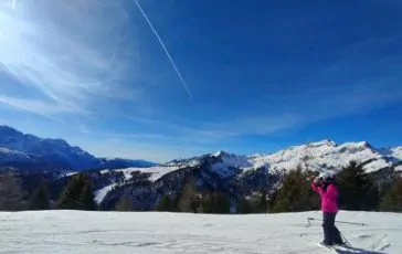 featured 3051657 364x230