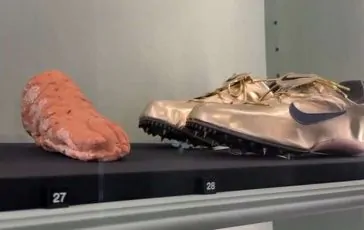 featured 3052005 364x230