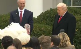 featured 3056164 265x160