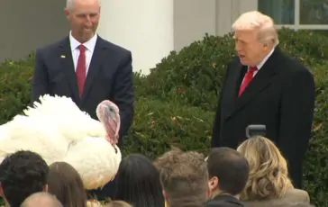 featured 3056164 364x230