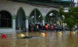 featured 3057137 265x160