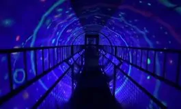 featured 3057740 265x160