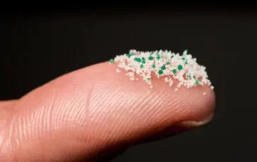 featured 3060282 364x230