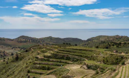 featured 3060552 265x160