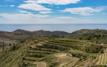 featured 3060552 364x230