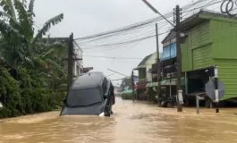 featured 3061459 265x160