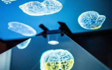 featured 3063896 364x230