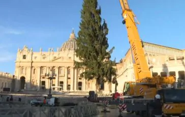 featured 3069867 364x230