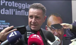 featured 3070266 265x160