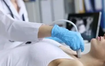 featured 3070586 364x230