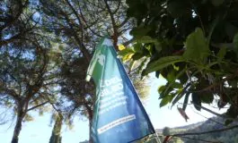 featured 3074008 265x160