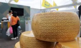 featured 3074066 265x160