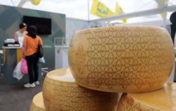 featured 3074066 364x230