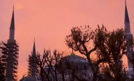 featured 3099306 265x160