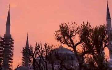 featured 3099306 364x230