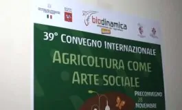 featured 3100095 265x160