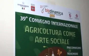 featured 3100095 364x230